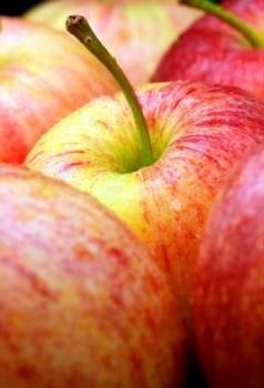 A legelőnyösebb fajták az almafák számára a külvárosokban