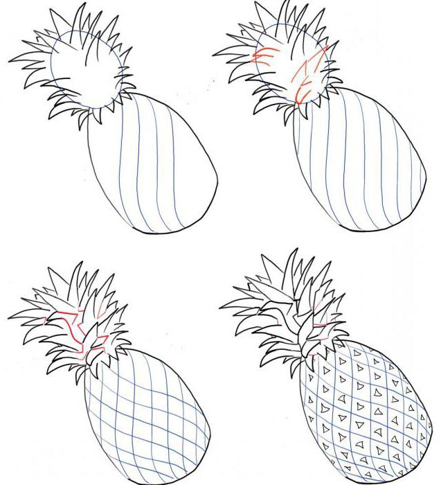 Részletek az ananász rajzolásáról