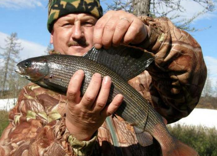 Hol található a Sister River? A halászat leírása és áttekintése