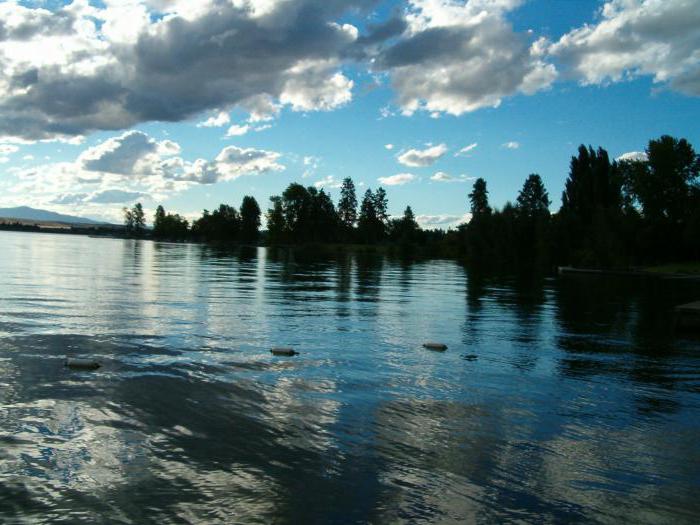 Lakehead Flathead, USA: leírás, fotó