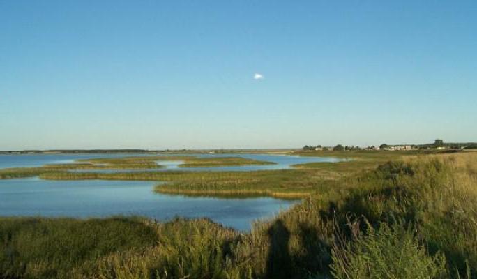 Lake ik Omsk régióban