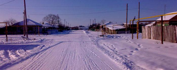 Ik-tó, Omsk Régió: leírás, szolgáltatások, természeti és állatvilág