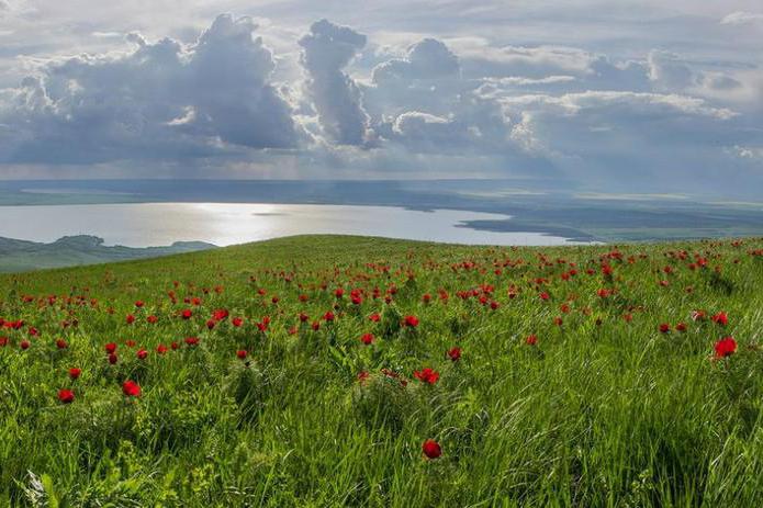 Stavropol Terület területe kerületek szerint