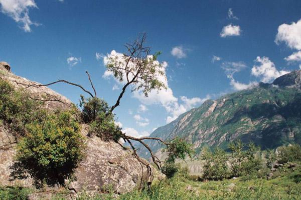 Az Altai Terület természete - száz szabadidős lehetőség