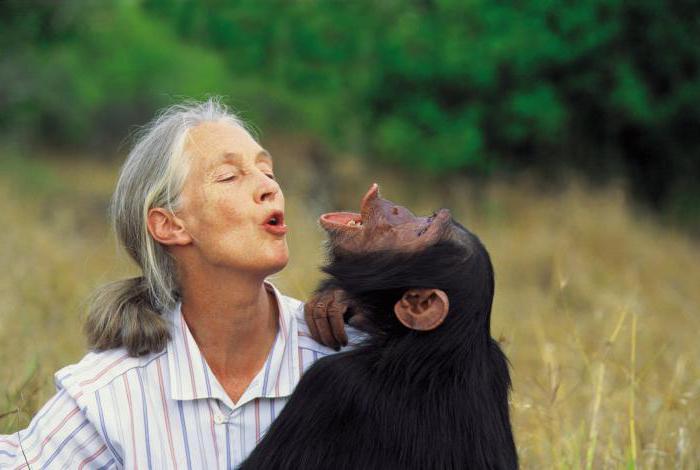 Jane Goodall, primatológus: életrajz