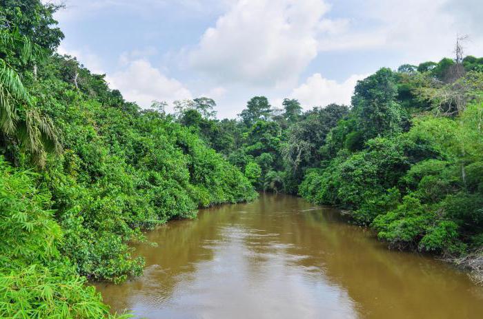 Milyen irányba halad a Kongói folyó? Módja és leírása