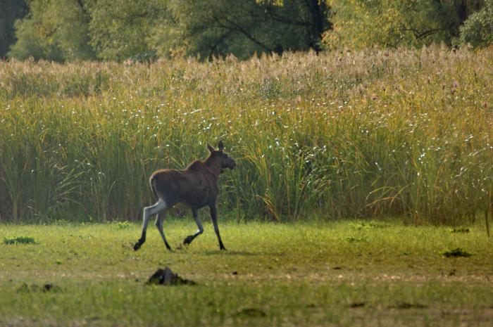 Tatarstan történelme, fejlődése és természete