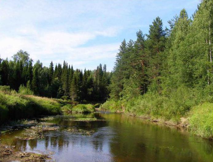 folyó kerjenec