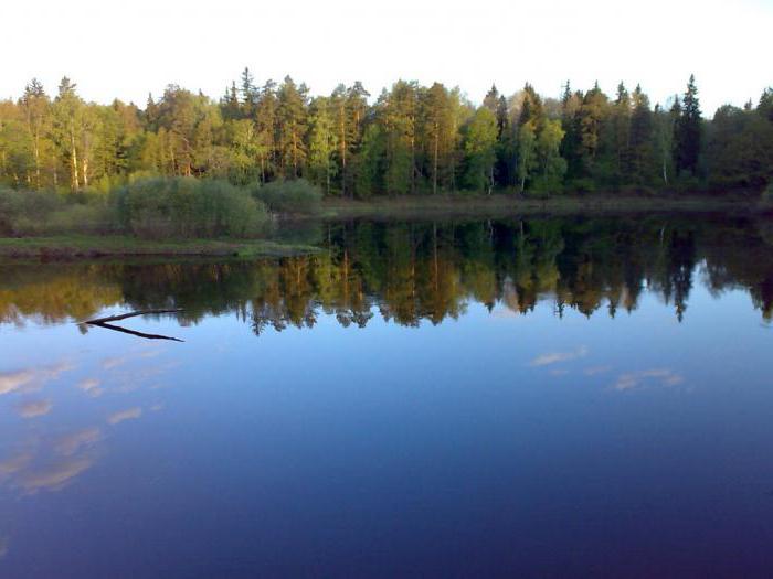 folyó a Nizhny Novgorod régióban