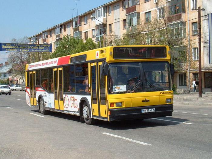 Orsha Vitebsk busz 