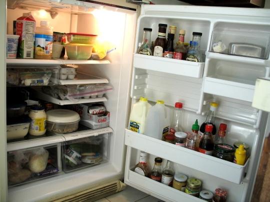 Melyik hűtőszekrény a legjobb - hogyan kell eldönteni a választást
